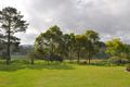 Property photo of 54 Beech Road Elands NSW 2429