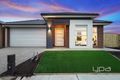 Property photo of 8 Horsetail Avenue Truganina VIC 3029