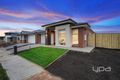 Property photo of 8 Horsetail Avenue Truganina VIC 3029