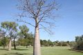 Property photo of 16 Pelcan Gardens Broome WA 6725