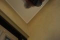 Property photo of 19 Lomandra Bowl Harkness VIC 3337