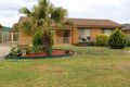 Property photo of 36 Crawford Street Ashmont NSW 2650