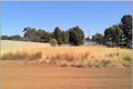 Property photo of 75 Lockyer Avenue Northam WA 6401