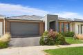 Property photo of 43 Vanburn Road Truganina VIC 3029