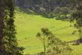 Property photo of 140 Coal Mine Road Gardners Bay TAS 7112
