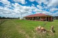 Property photo of 58 Holleys Lane Gulgong NSW 2852
