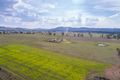 Property photo of 58 Holleys Lane Gulgong NSW 2852