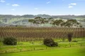 Property photo of 17 Chapman Avenue McLaren Vale SA 5171