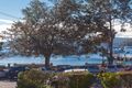 Property photo of 14/5 The Esplanade Mosman NSW 2088