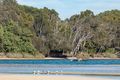 Property photo of 9 Tareel Street Wurtulla QLD 4575