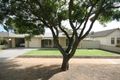 Property photo of 15 Bowden Grove Oaklands Park SA 5046