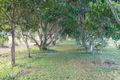 Property photo of 5 Ohl Road Mission Beach QLD 4852