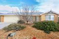 Property photo of 12 Minge Way Nuriootpa SA 5355