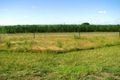 Property photo of 198 Zipfs Road Alberton QLD 4207