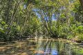 Property photo of 226 Ganyan Drive Speewah QLD 4881