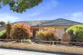 Property photo of 43 Loader Street Glynde SA 5070