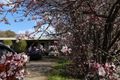 Property photo of 3 Argyle Street Argyle VIC 3523
