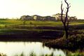 Property photo of 5 Espie Court Botanic Ridge VIC 3977