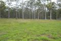 Property photo of 23 Thomas Road Curra QLD 4570