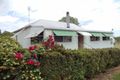 Property photo of 13 David Street Ashford NSW 2361