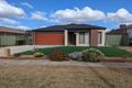 Property photo of 11 Laburnum Avenue Wyndham Vale VIC 3024