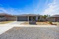 Property photo of 13 Clovedale Avenue Alfredton VIC 3350
