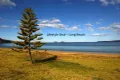 Property photo of 7 France Place Long Beach NSW 2536