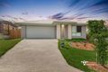 Property photo of 79 Br Ted Magee Drive Collingwood Park QLD 4301