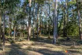 Property photo of 4 Gibraltar Way Long Beach NSW 2536