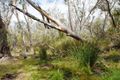 Property photo of 300 Nylagarda Road Hill River WA 6521
