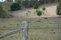 Property photo of 12 Highfield Drive Chatsworth QLD 4570