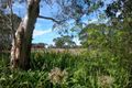 Property photo of 29 Darley Circuit Noarlunga Downs SA 5168