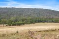 Property photo of 218 Wiggins Road Wattle Hill TAS 7172