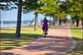 Property photo of 10/150 The Grand Parade Monterey NSW 2217
