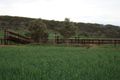 Property photo of 72 Jordan Road East Chapman WA 6532
