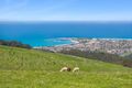 Property photo of 415 Tuxion Road Apollo Bay VIC 3233