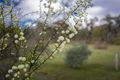 Property photo of 79 Kangaroo Gully Road Kangaroo Flat VIC 3555