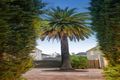 Property photo of 4/52 Alfred Street Kew VIC 3101