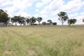 Property photo of 317 Schroders Road Tenterfield NSW 2372