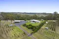 Property photo of 82 Bushell Road Geham QLD 4352