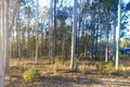 Property photo of 17 Arborfive Road Glenwood QLD 4570