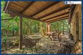 Property photo of 11 Mundora Road Springbrook QLD 4213