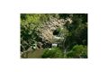 Property photo of 1133 White Swamp Road Koreelah NSW 2476