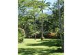 Property photo of 79 Old Forestry Road Whyanbeel QLD 4873