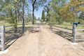 Property photo of 285 Murphys Creek Road Postmans Ridge QLD 4352
