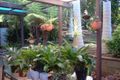 Property photo of 8 Wilga Place Port Macquarie NSW 2444