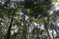 Property photo of 2B/15 Sambar Close Chermside West QLD 4032