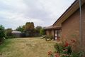 Property photo of 5 Fitzgerald Street Shepparton VIC 3630
