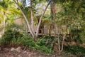 Property photo of 44 Albert Evans Drive Worongary QLD 4213