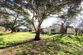 Property photo of 43 Blind Creek Road Elmhurst VIC 3469